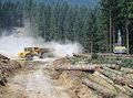 Vertex Excavating Ltd. image 6