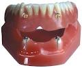 Waterdown Denture Clinic image 1