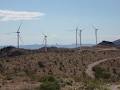 Western Wind Energy Corporation image 3