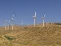 Western Wind Energy Corporation image 6