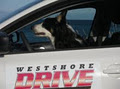 Westshore Driving School image 2