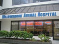 Willowbrook Animal Hospital logo