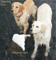 Wilsonia Kennel image 3