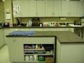 Woodlands Veterinary Hospital and Animal Dental Centre image 5