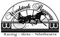 Woodstock Raceway logo