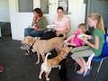 Woofs 'n Wags Dog Daycare image 4