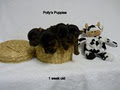 Yorkshire Puddin' Pups image 2