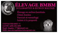 elevage bmbm logo