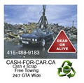 AAA Cash for Cars image 3