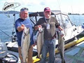 Absolute Sportfishing image 5