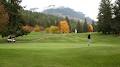 Anglemont Estates Golf Course Ltd image 3