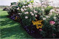Avant Gardener & Lawn Care image 4