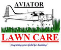 Aviator Lawn Care image 1