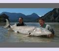 BC Sport Fishing Group Ltd image 6