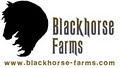 Blackhorse Farms logo