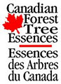 Canadian Forest Tree Essences logo