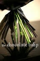 Chocolate Tulip - Floral Design Studio logo