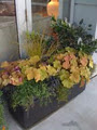 DE HAAS LANDSCAPE DESIGN LTD. image 5