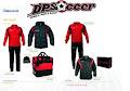 DP Soccer image 2