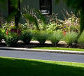 Daniel Shoag Landscaping image 5