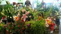 Davie Flowers image 3