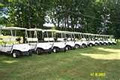 Debbie's Golf Cars Inc. image 3