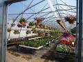 Debruin's Greenhouses image 3