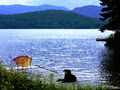 Domaine Lac Supérieur - Domain Lake Superior logo