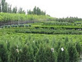 Eagle Lake Nurseries Garden Centre image 4
