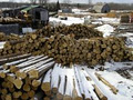 Empey Logs and Lumber logo