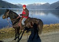 Equutrails Horseback Riding Vancouver image 3
