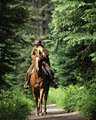 Equutrails Horseback Riding Vancouver logo