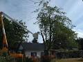 Essential Tree Service image 6