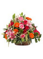 Evergreen Florist image 3