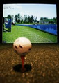 Evolution Golf image 4