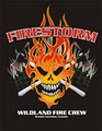 Firestorm Enterprises Ltd. logo