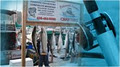 Fisherman's Paradise Charters image 2