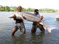 Fishing Guides & Charters - Lang's Fishing Adventures image 6