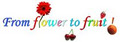 Florist From Flower To Fruit logo