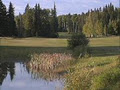 Forest Heights Golf Course image 4