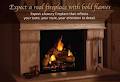 Future Fireplaces & Stoves Ltd image 1