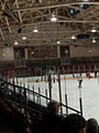 Galt Arena Gardens image 1