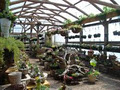 Glad Gardens Family Farm Market & Greenhouses image 3