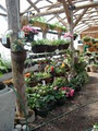 Glad Gardens Family Farm Market & Greenhouses image 4