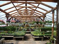 Glad Gardens Family Farm Market & Greenhouses image 5