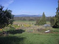 Glen Valley Organic Farm image 1