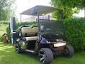 Golf Car Guys.com image 2