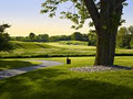 Granite Golf Club image 3