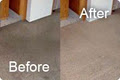 Green Tree Carpet Cleaning Services Inc. image 3