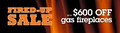 Hearth & Home Fireplace Specialties Ltd‎ image 6